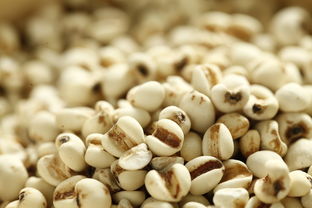 中医养生,酸味食物与肝脏健康的关系