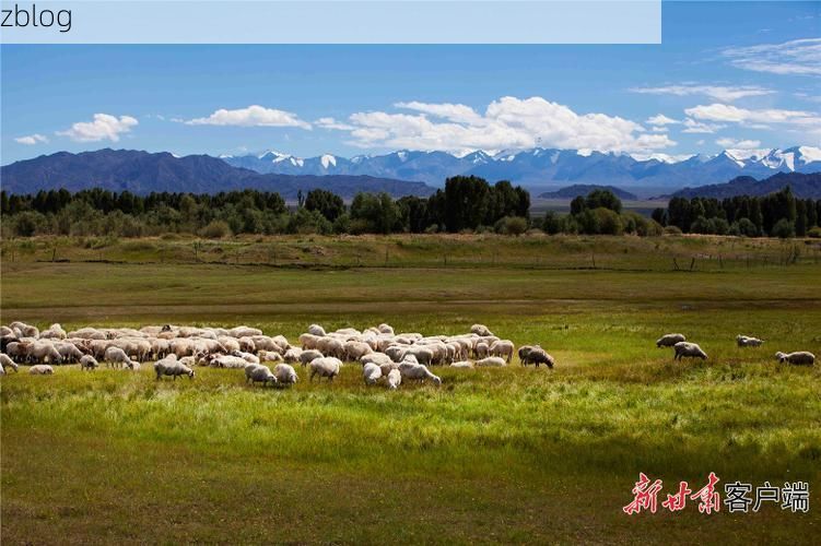 灵山：十万大山屏障下的县域防疫样本
