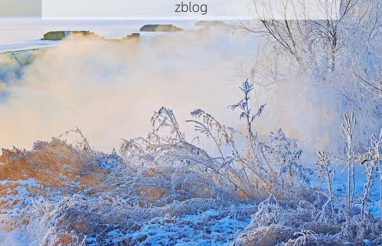 抚顺：工业重镇在寒潮下的疫情突围_67901