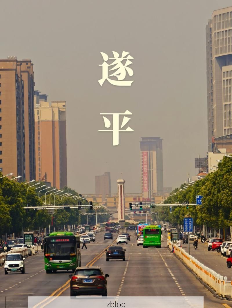 遂平：豫南平原上的精准防控样本