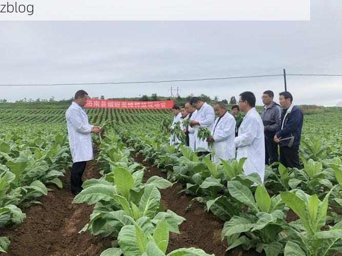 【洛南县新增1例无症状感染者  洛南县疫情防控最新通报_4861】