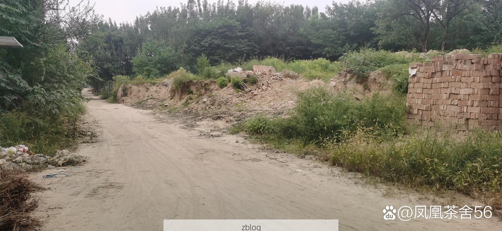 台前：黄河滩区小城的疫情突围战