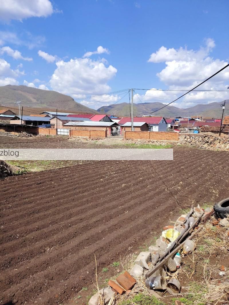 桦南：寒地黑土上的疫情防线与社区韧性