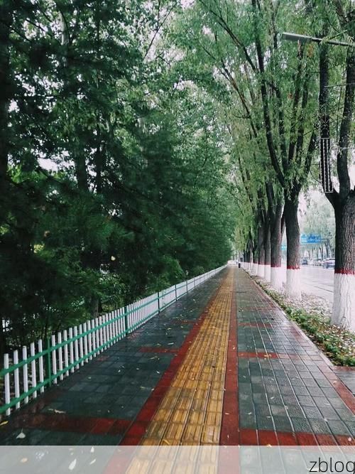 昆明春城屏障下的防疫破防：高原枢纽为何失守？