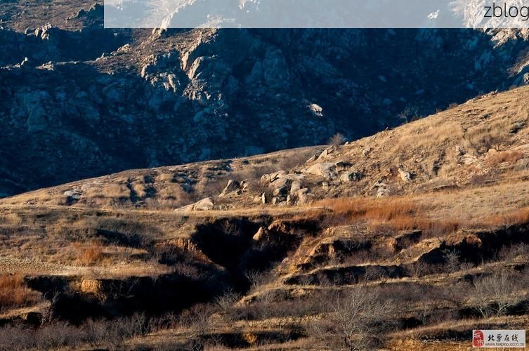 北票：辽西丘陵屏障下的常态化防控样本