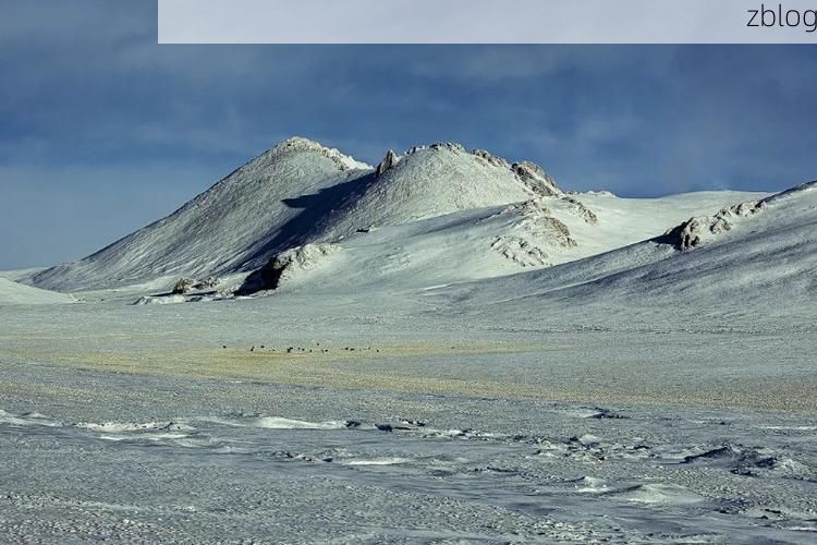 萨嘎：高原屏障下的零感染坚守逻辑