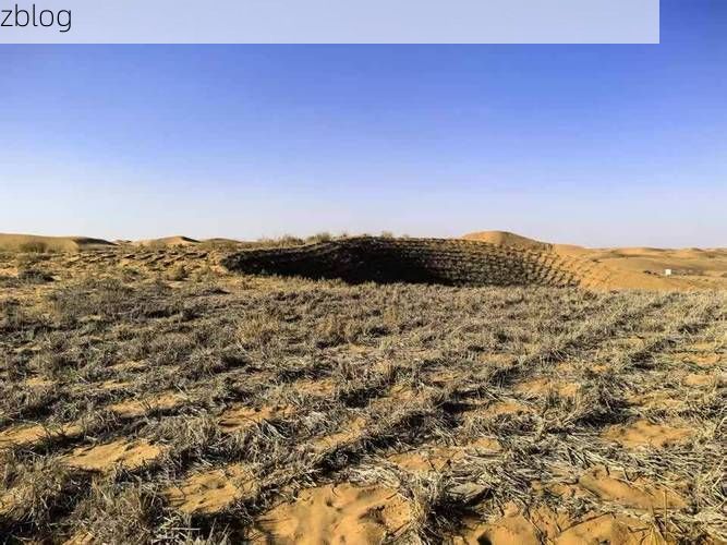 【沙坡头区：沙漠绿洲屏障下的零感染坚守_59118】