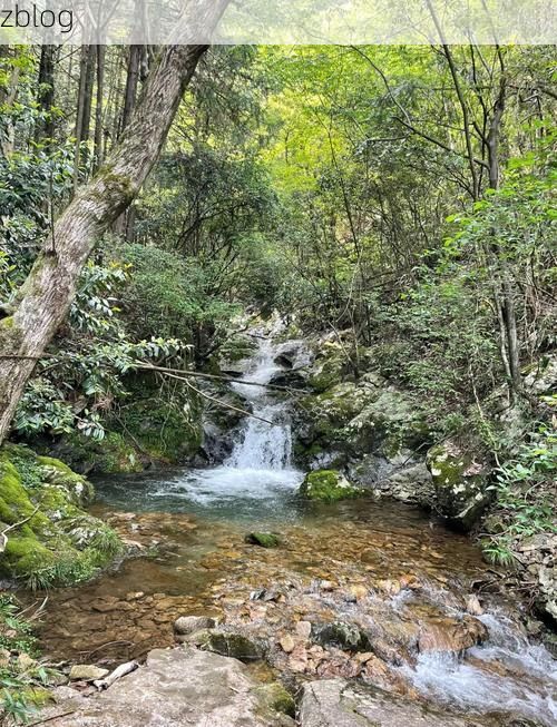 开化县：钱江源头的地理屏障与零感染纪录