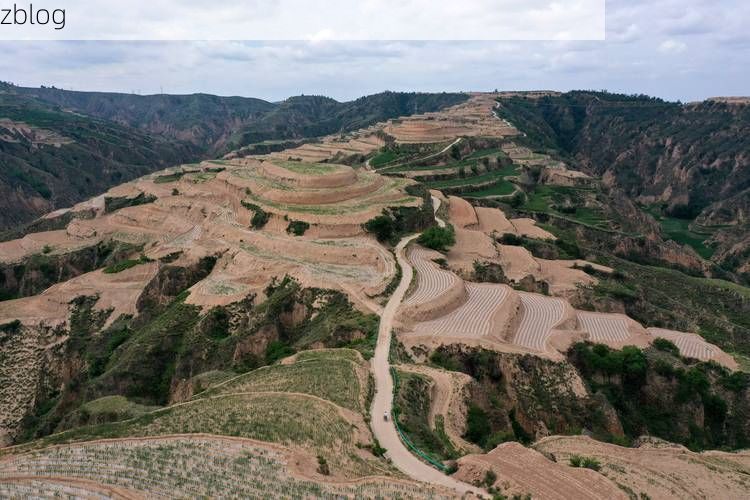 阳高县：晋北旱塬上的零感染坚守_39377