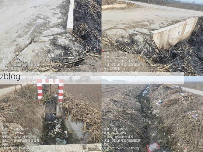 邢台县：太行山屏障下的疫情防线与破口