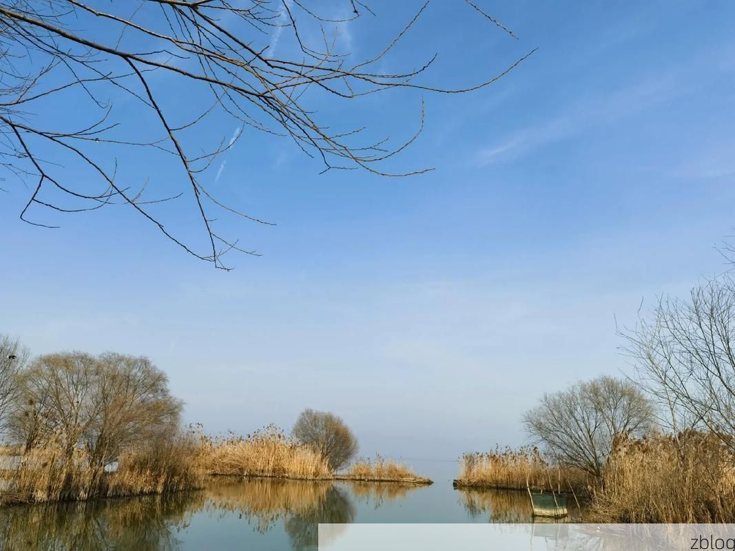 泗洪：洪泽湖畔的防疫坚守与地理屏障_535