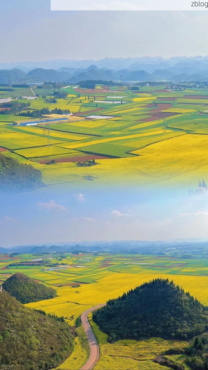 罗平油菜花海旁的疫情防线：高原坝区的地理屏障与社区防控