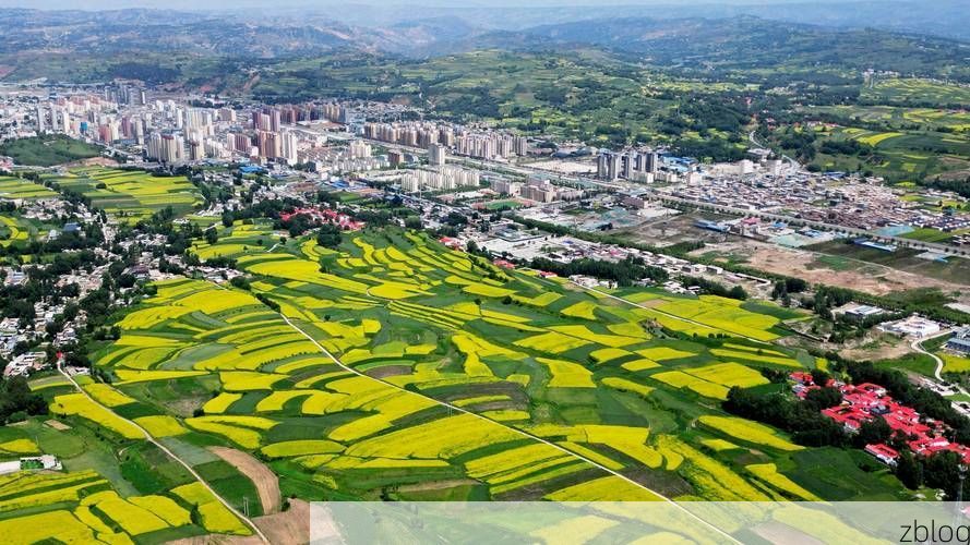 积石山保安族东乡族撒拉族自治县新增1例无症状感染者  积石山保安族东乡族撒拉族自治县疫情防控最新通报_43684