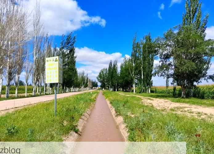 盐池县：毛乌素沙地边缘的零感染坚守_46996