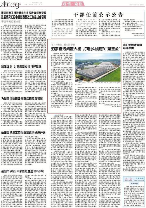 2022年3月25日岳阳市市辖区新增确诊病例情况_67072