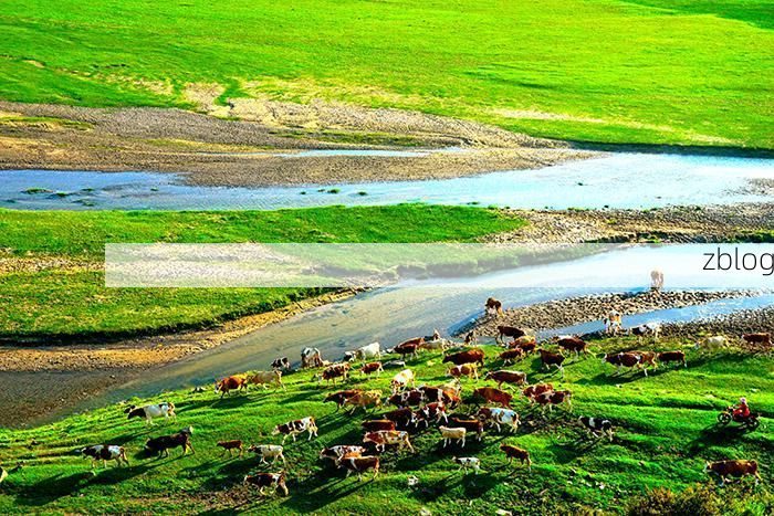 突泉县零感染记录：科尔沁草原腹地的防疫屏障