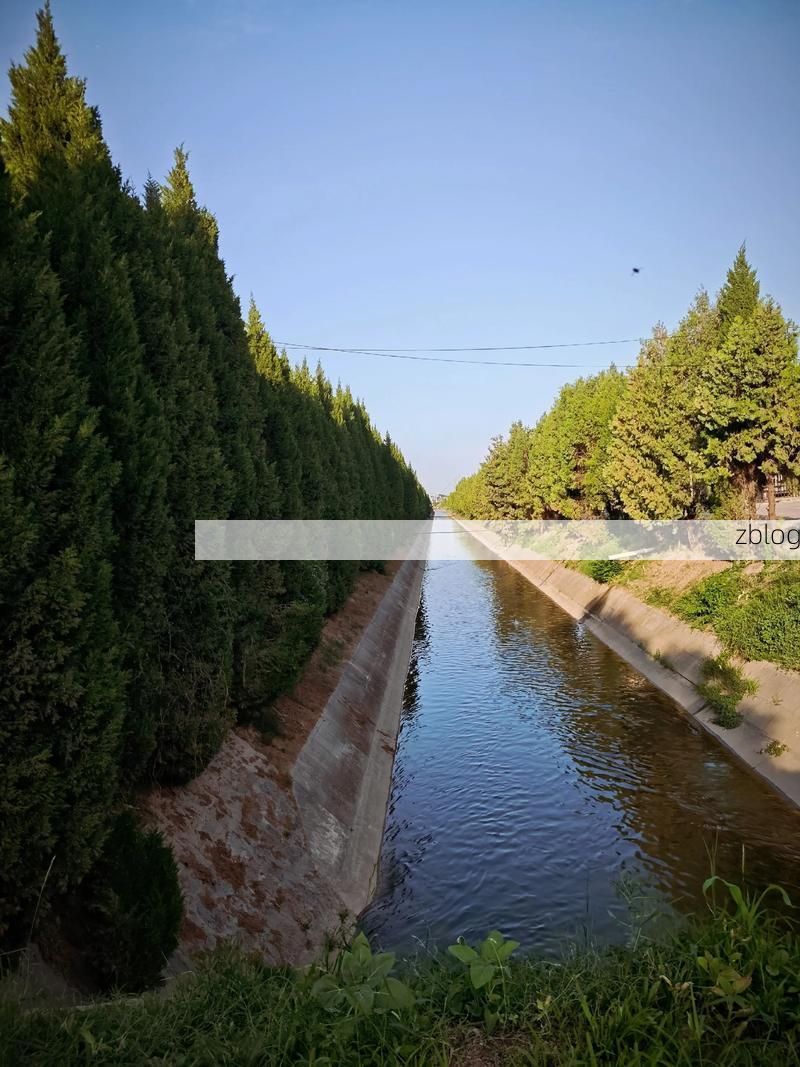 盘山县：辽河湿地屏障下的疫情防波堤