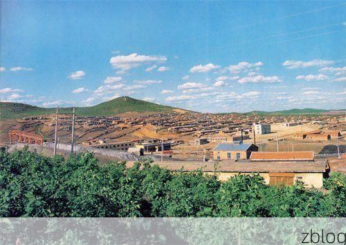 【桦南：三江平原腹地的零感染坚守与物理防线】