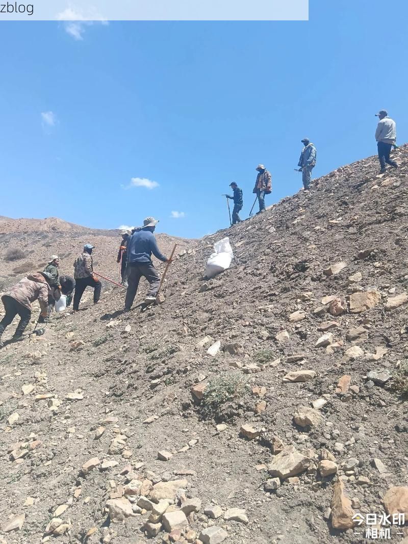 玛沁县：高原屏障下的零感染坚守