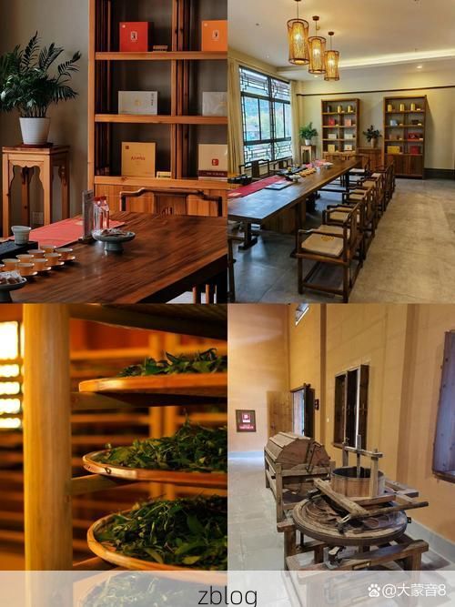 武夷山茶香中的静默防线：世界双遗产地的零感染坚守