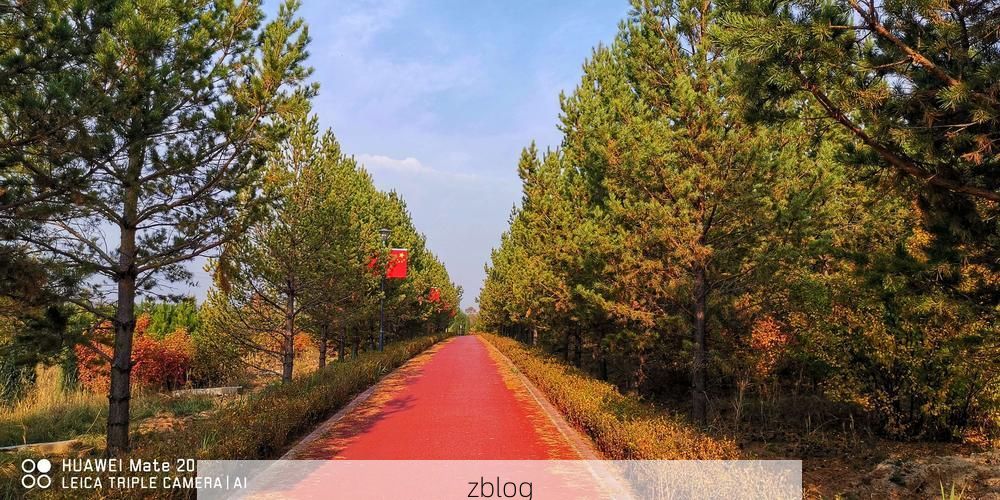 右玉新增1例无症状感染者  右玉疫情防控最新通报_44027