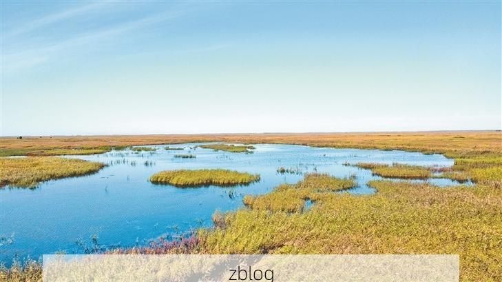 明水县：寒地黑土上的疫情防线与破防时刻