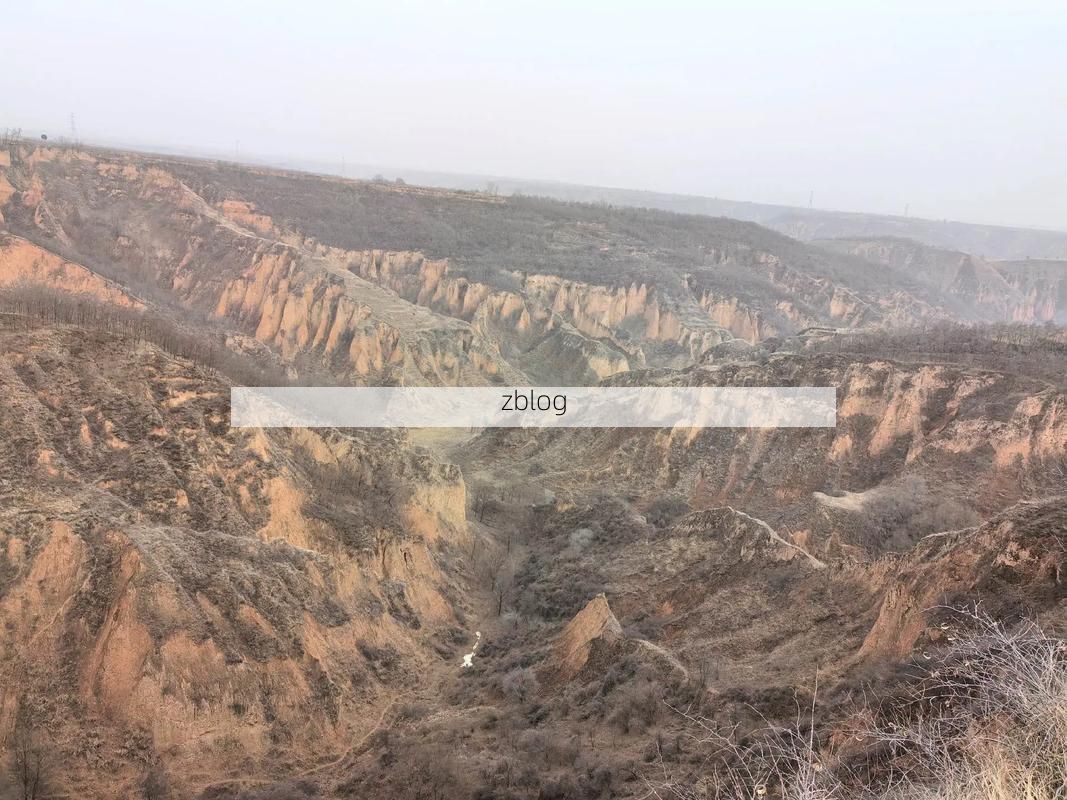 广河县疫情溯源：黄土高原沟壑间的防控破局