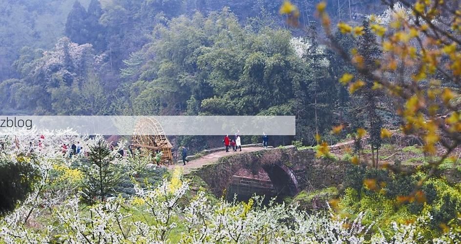 丹棱：川西坝子上的静默坚守与物理防线