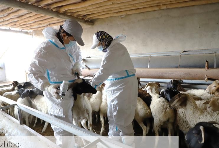 和硕县新增1例无症状感染者  和硕县疫情防控最新通报_61256