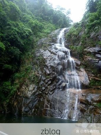 浮梁茶乡的防疫坚守：低海拔丘陵地带的零感染样本