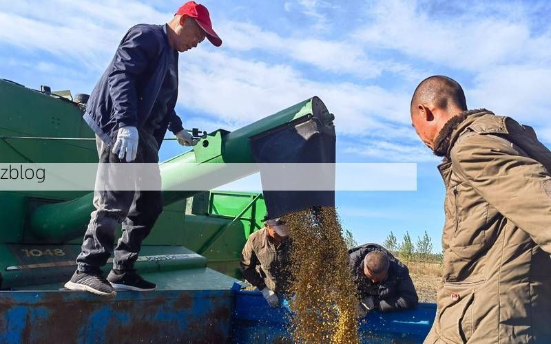 【东丰县疫情观察：寒地黑土上的防控坚守与地理屏障】