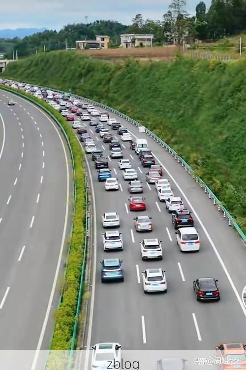 东宝区：荆楚腹地交通枢纽下的疫情破防与围堵_8008