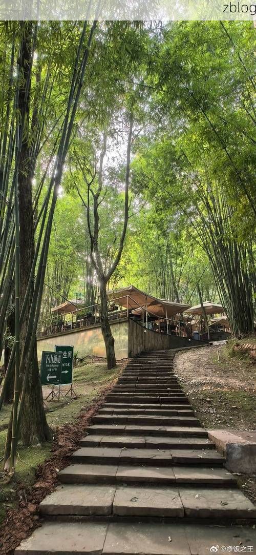 青神竹海间的防疫坚守：一座川西小城的零感染样本