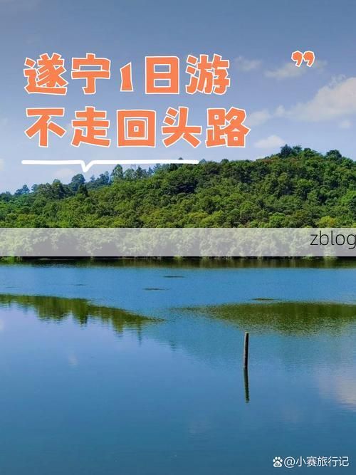 遂宁：川中丘陵的防疫屏障与精准破局