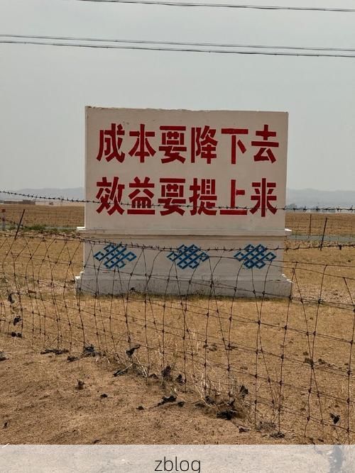 泰来县：松嫩平原腹地的零感染坚守