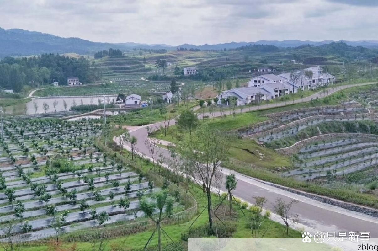 营山：川东丘陵腹地的疫情防线与破防时刻