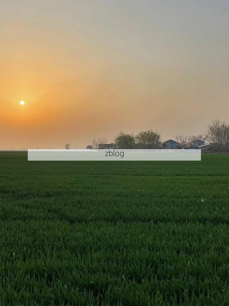 红旗区：豫北平原交通枢纽的疫情破防与精准阻击