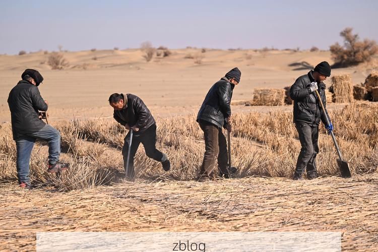 勃利县：寒地黑土上的防疫坚守与破防时刻