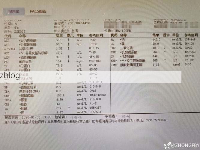 本地确诊+3，东港通报新增病例情况_61380