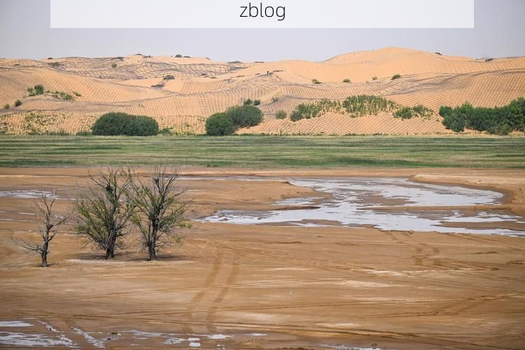 达拉特旗：黄河几字弯里的防疫坚守