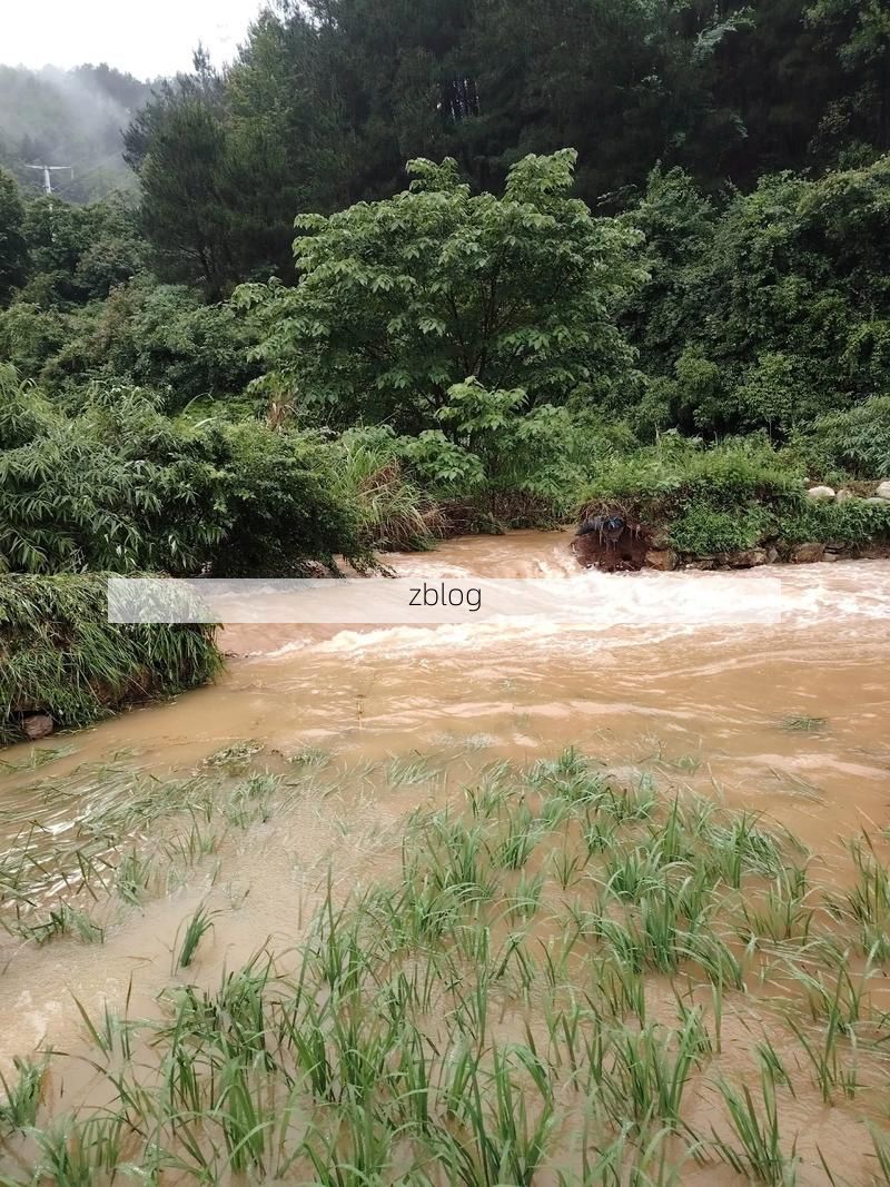 通江：大巴山褶皱中的疫情防波堤