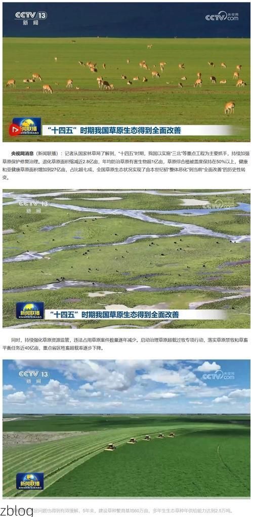 喀什绿洲的防疫屏障：地理枢纽下的零感染愿景