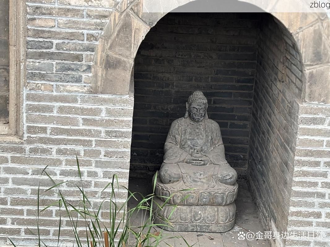 郓城：水浒故里的防疫突围战