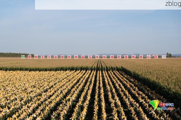 梨树：东北粮仓的静默防线与破防时刻