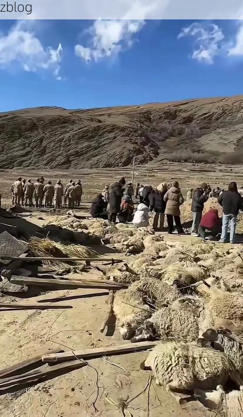 西藏噶尔：高原屏障下的零感染坚守