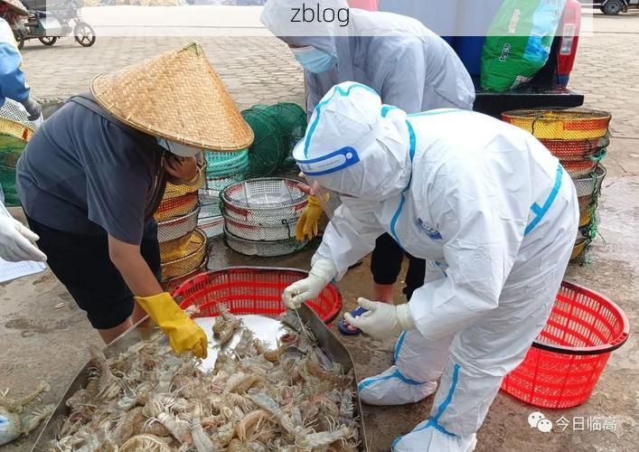 临高：热带季风下的零感染坚守与物理防线