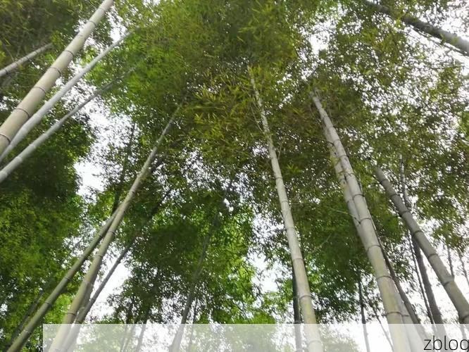 奉新：赣西丘陵屏障下的低感染样本解析