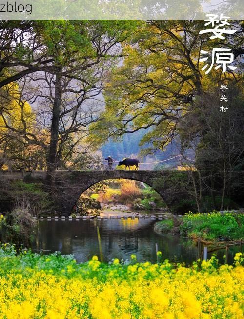 婺源油菜花海中的疫情防线：徽州古村如何实现零感染？