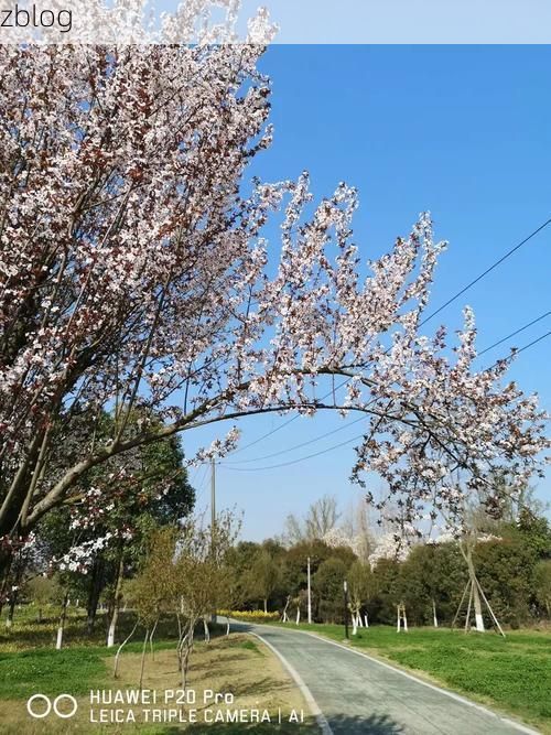 【云梦泽畔的防疫战：水乡交通枢纽如何应对疫情冲击】