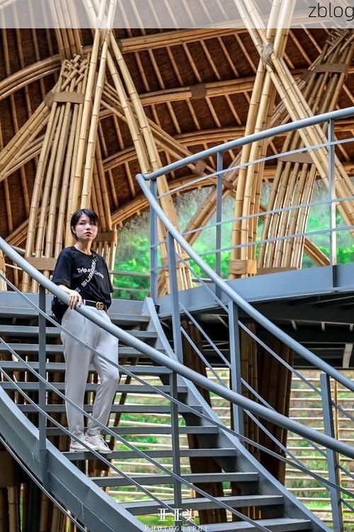 渝东屏障下的零感染坚守：石柱土家族自治县的防疫地理学